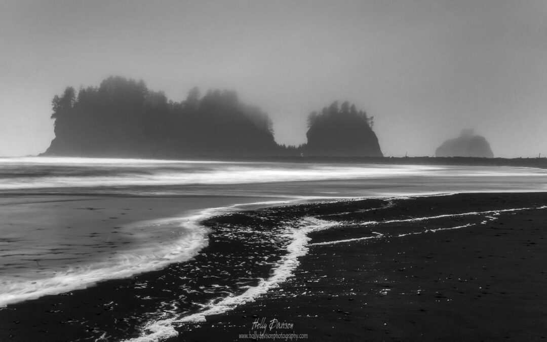 Mindfulness on a Rocky Seashore