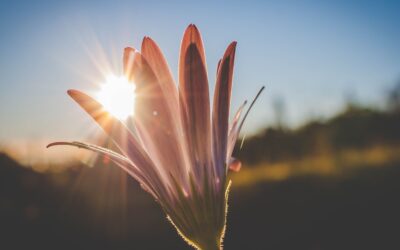 Pentecost, Life, Loss… and Hope
