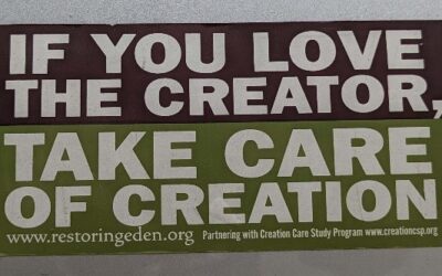 CREATION’S CORNER #13: HOW MUCH IS ENOUGH?