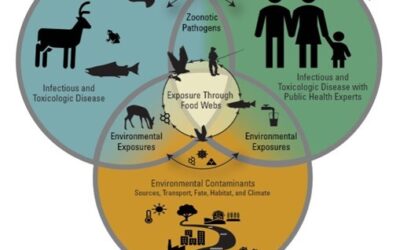 CREATION’S CORNER #32 – HOW IS YOUR ECOLOGICAL HEALTH?