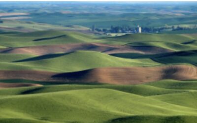 CREATION’S CORNER #37: THE PALOUSE