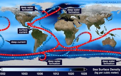 CREATION’S CORNER #43: THE GULF STREAM WEAKENING?