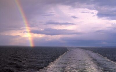 On Being a Neighbor and Rainbow
